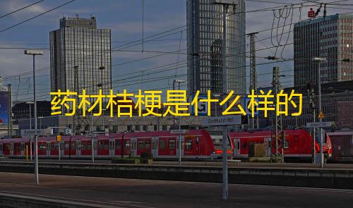 qq空间下载药材桔梗是什么样的