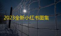 2023全新小红书图集和视频解析去水印网站源码